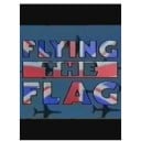 Flying the Flag: Arming the World