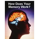How Does Your Memory Work?