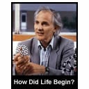 How Did Life Begin?t