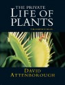 The Private Life of Plants