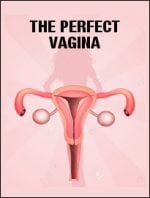 The Perfect Vagina