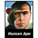 Human Ape