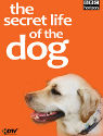 The Secret Life of the Dog
