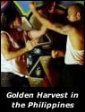 Golden Harvest in the Philippines