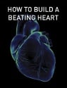 How to Build a Beating Heart