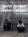 North Korean Labor Camps