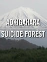 Suicide Forest in Japan