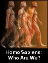 Homo Sapiens: Who Are We?