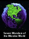 Seven Wonders of the Microbe World