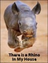 There Is a Rhino In My House