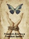 Freedom: Are You a Freedom Seeker?