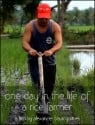 One Day in the Life of a Rice Farmer