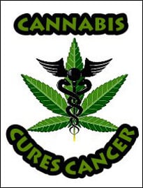 Healing Cancer with Cannabis