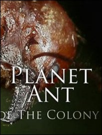 Planet Ant: Life Inside the Colony