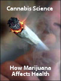 Cannabis Science: How Marijuana Affects Health