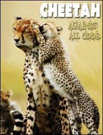 Cheetah: Against All Odds