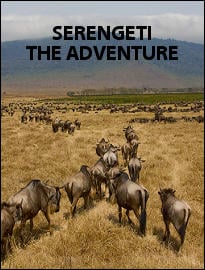 Serengeti: The Adventure