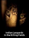 Indian Leopards: In the Killing Fields