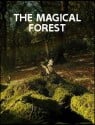 The Magical Forest