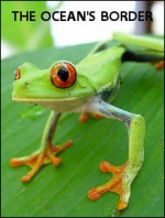 The Ocean's Border