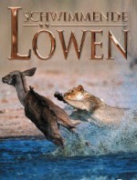 Swimming Lions