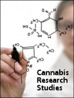 Cannabis Research Studies