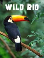 Wild Rio