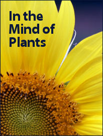 In the Mind of Plants