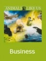 Animals Like Us: Business