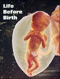 Before birth