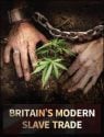 Britain's Modern Slave Trade