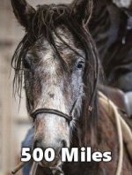 500 Miles