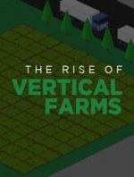 The Rise of Vertical Farming