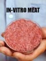 In-Vitro Meat