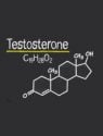 Testosterone: The Making of a Man