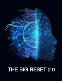 The Big Reset 2.0