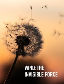 Wind: The Invisible Force