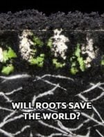 Will Roots Save the World?