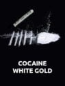 Cocaine: White Gold