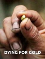 Dying for Gold: The Philippines' Illegal Treasure Mines