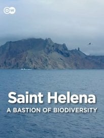 Saint Helena: A Bastion of Biodiversity