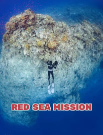 Red Sea Mission