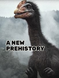 A New Prehistory