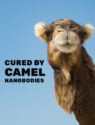 Cured by Camel Nanobodies