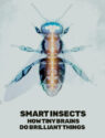 Smart Insects: How Tiny Brains Do Brilliant Things