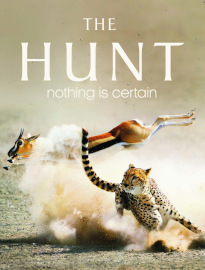 The Hunt