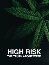 High Risk: The Truth About Weed