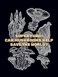 Super Fungi: Can Mushrooms Help Save the World?
